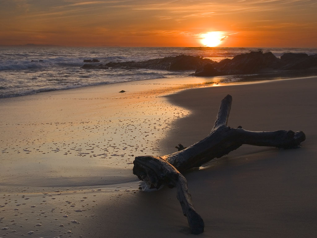 Crystal Cove