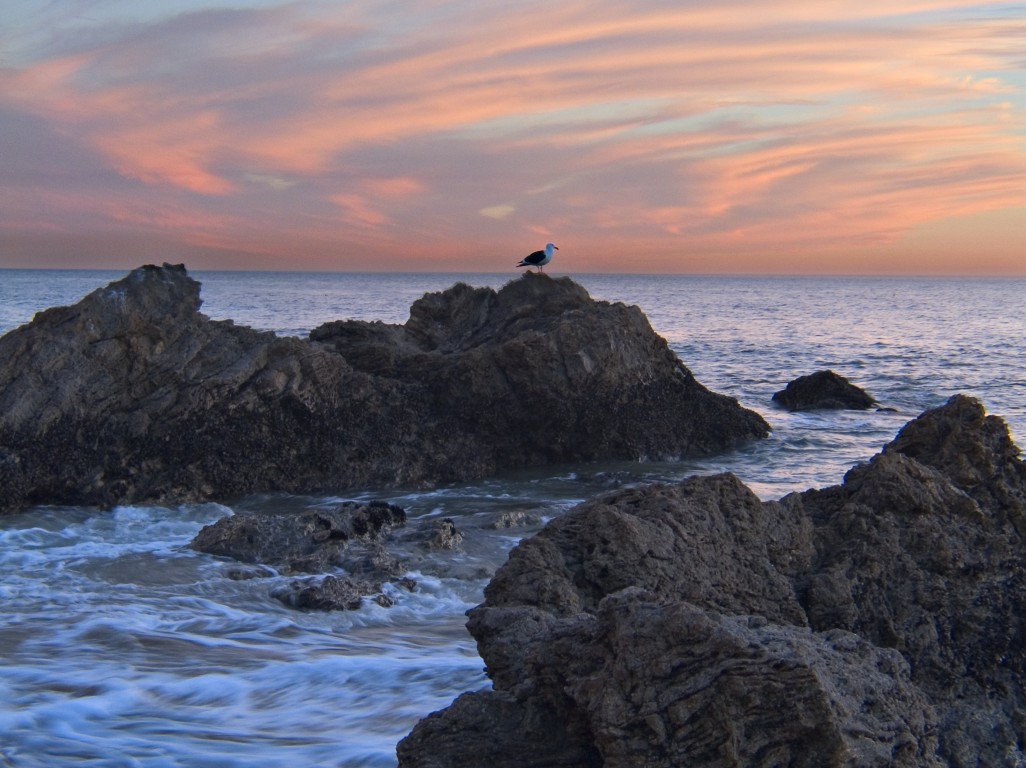 Crystal Cove