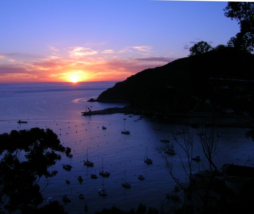 Catalina Harbor